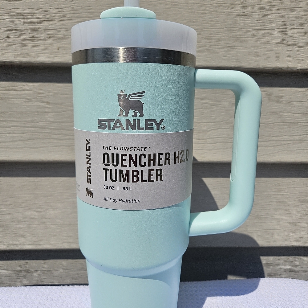 Stanley Tumbler 30oz Soft Mint